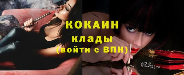 ПСИЛОЦИБИНОВЫЕ ГРИБЫ Карталы
