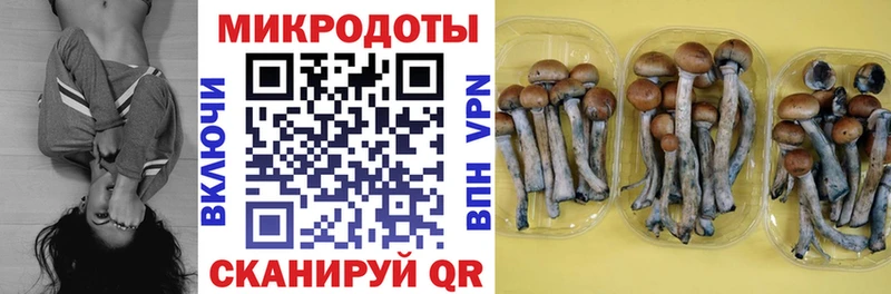 mega сайт Сенгилей Псилоцибиновые грибы мицелий