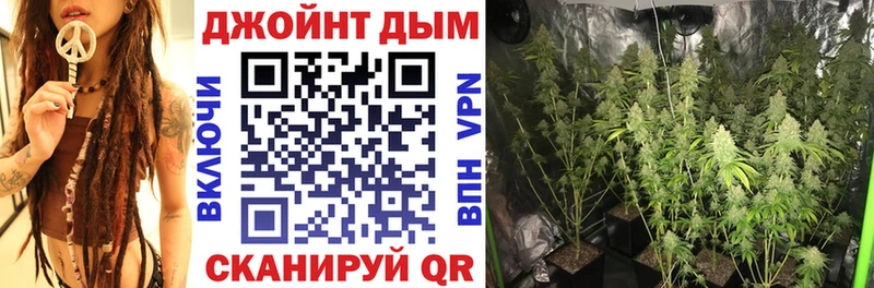 наркота  Сенгилей  МАРИХУАНА планчик 